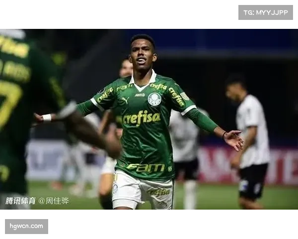 帕尔梅拉斯青训成效显著 近五年培养12名巴西国脚